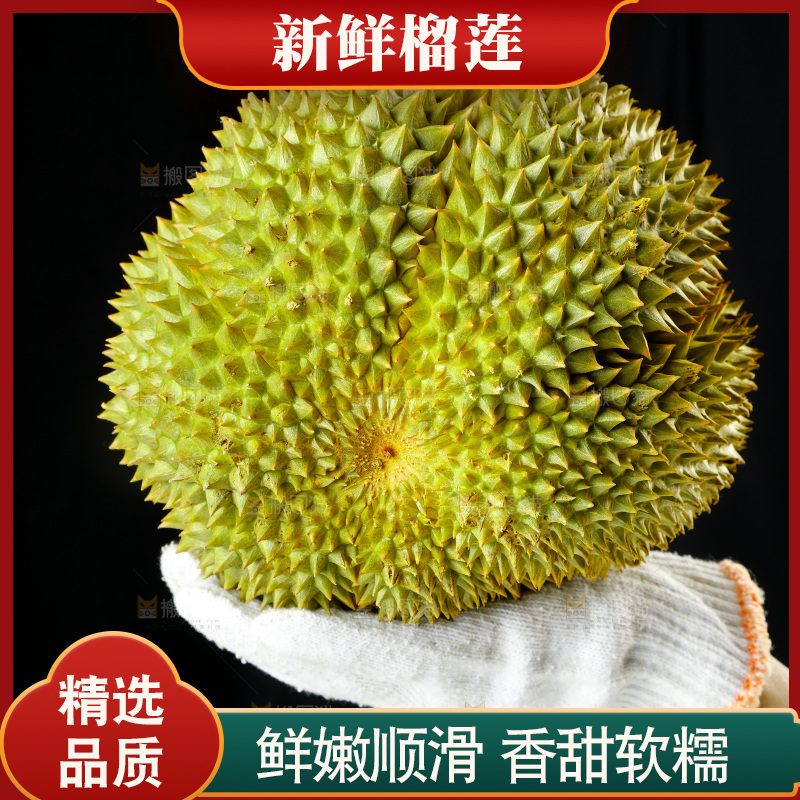 榴莲主图