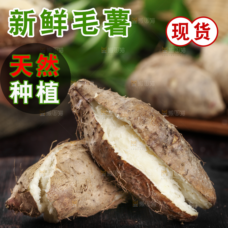深底上放着熟的广东毛薯