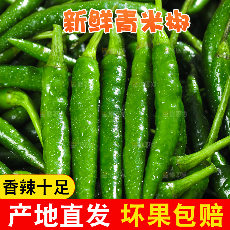 浅底上的青米椒