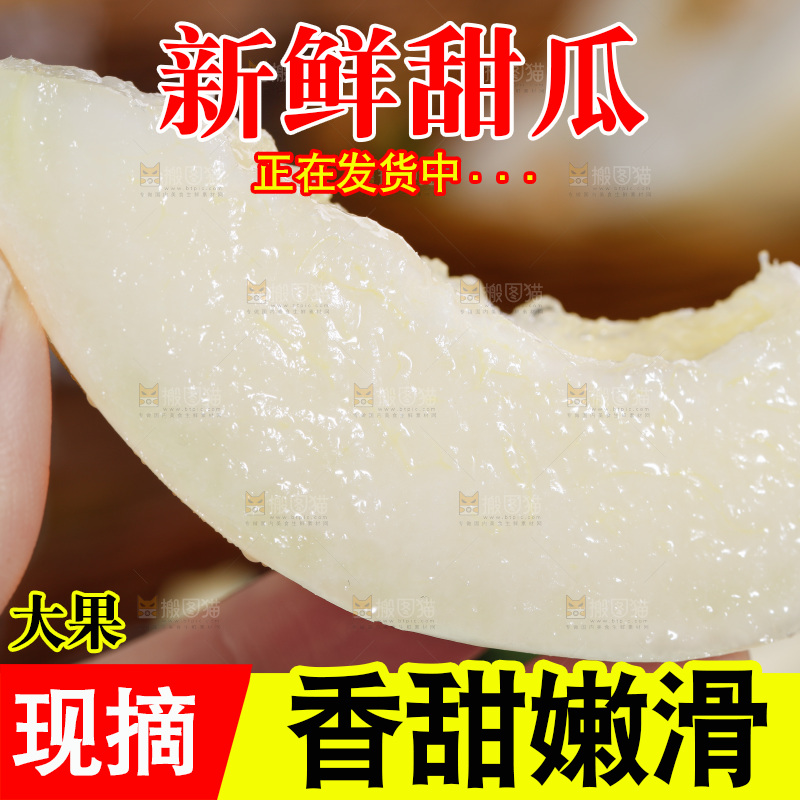 手拿切开的阎良甜瓜