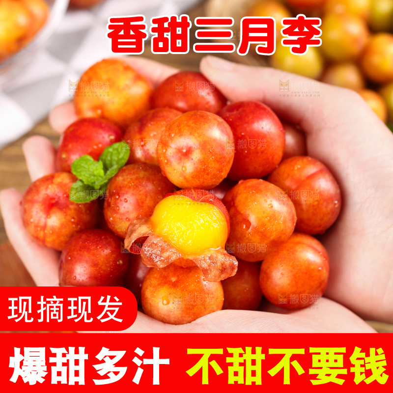 手里拿着新鲜李子