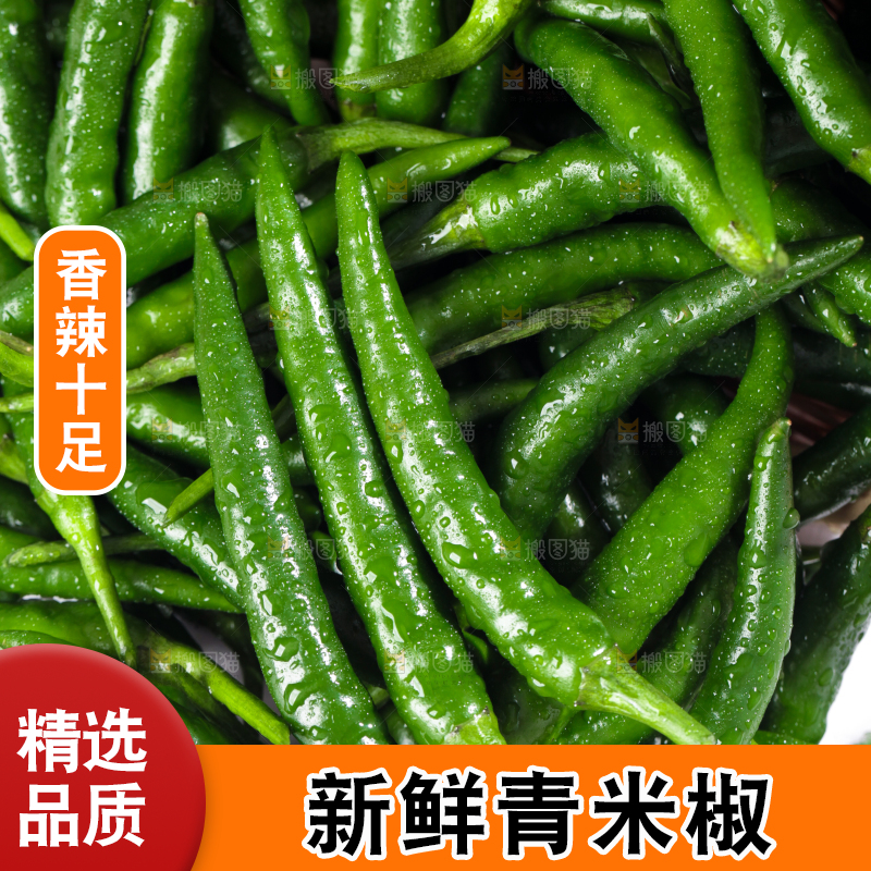 浅底上的青米椒