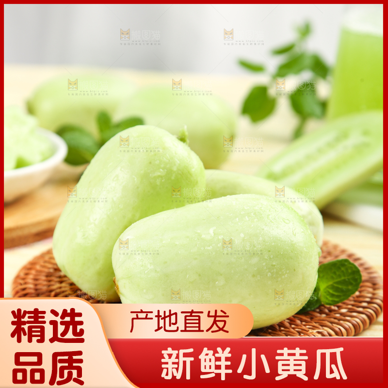 木底上的玉女黄瓜