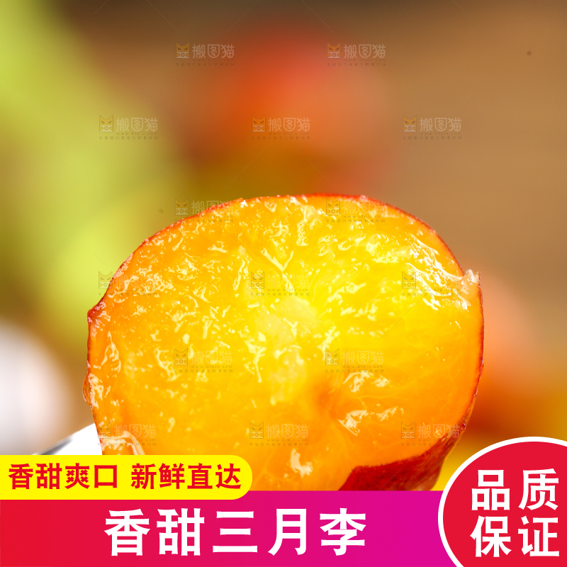 叉子上叉着三月李