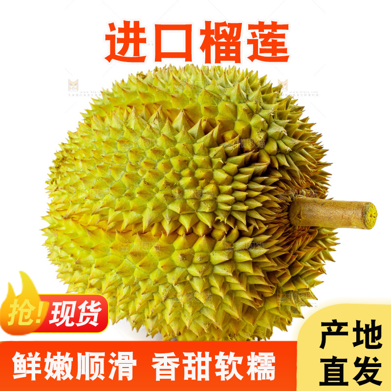 榴莲主图