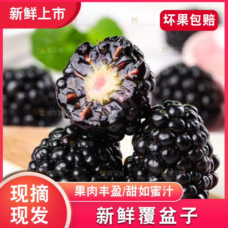 石板上的黑莓鲜果
