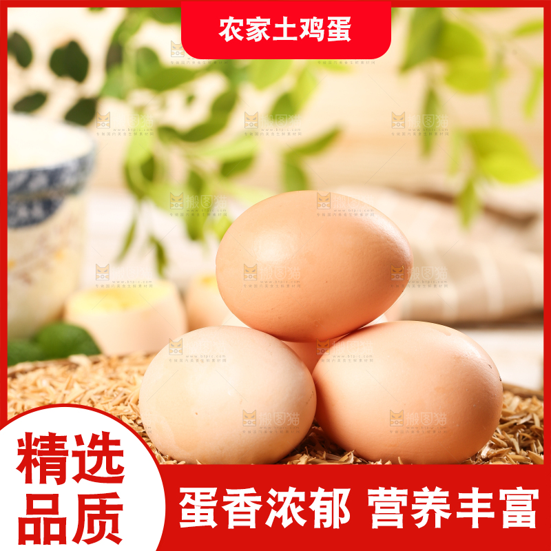 盘子里的散养土鸡蛋