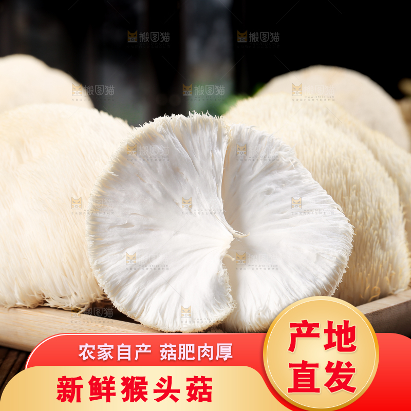 盘子里装着新鲜猴头菇