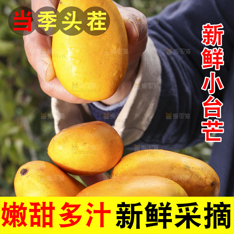 手拿切开的迷你小台芒
