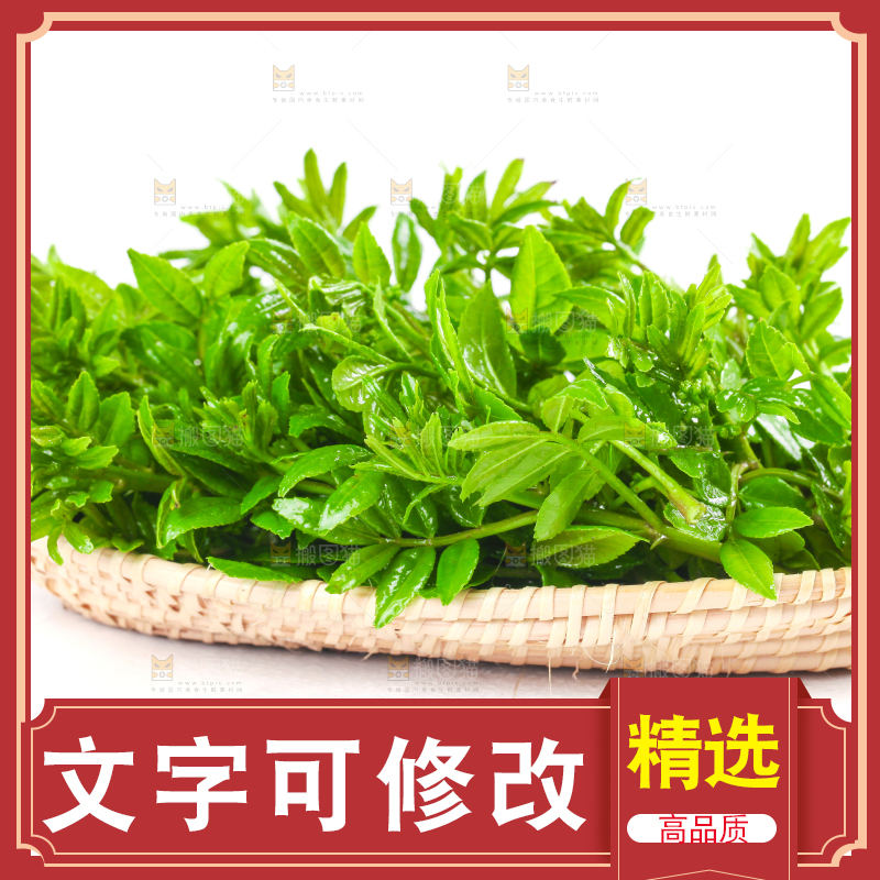 一盘花椒芽苗放在白底上
