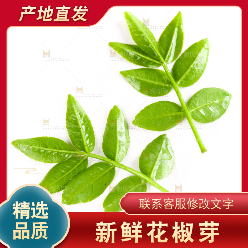 白底上放着花椒芽