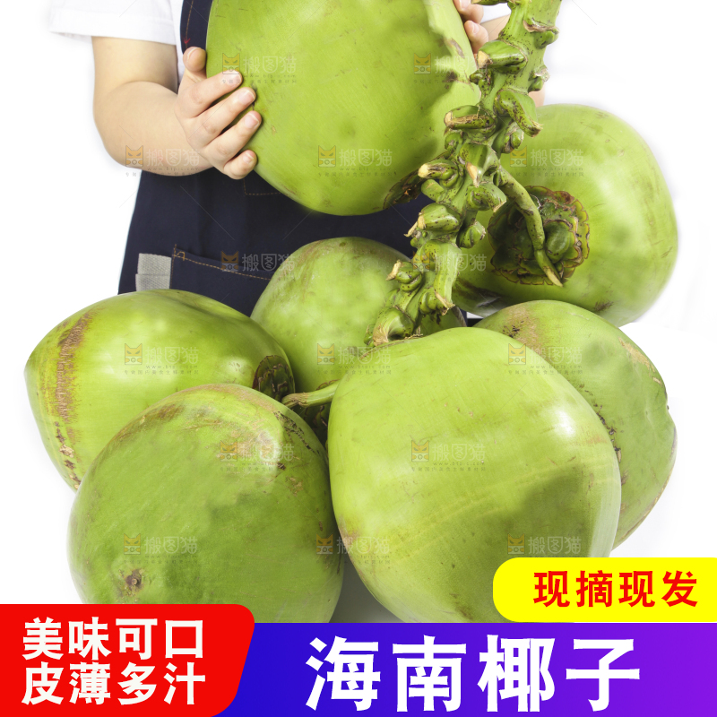 手拿大椰青