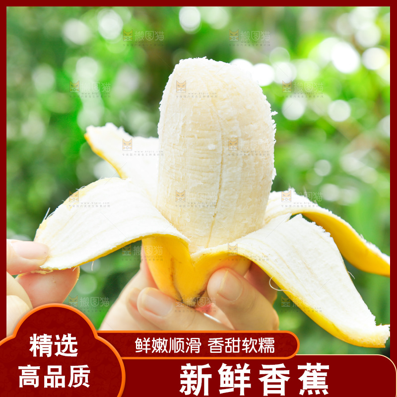 手拿剥皮的海南苹果蕉