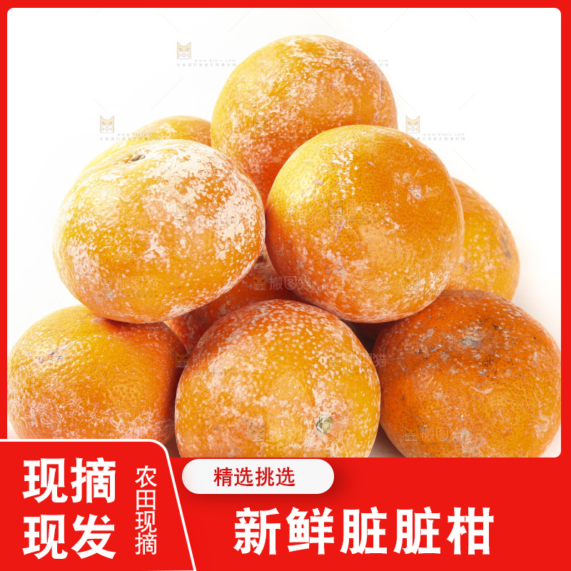 一堆脏脏柑放在白底上