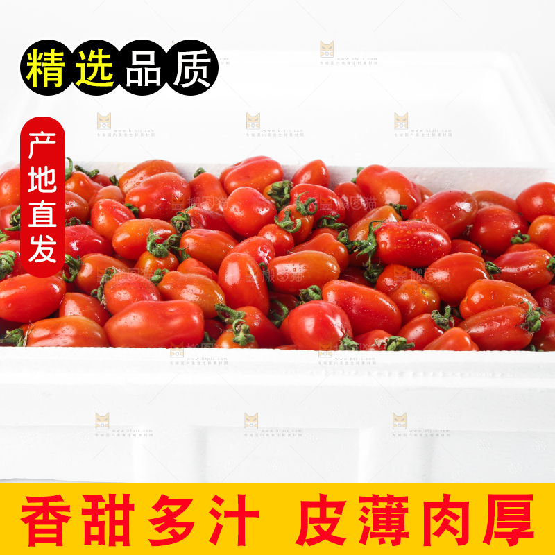 箱子里装着409小柿子