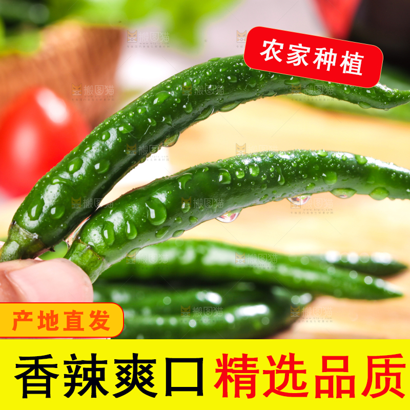 手拿青辣椒