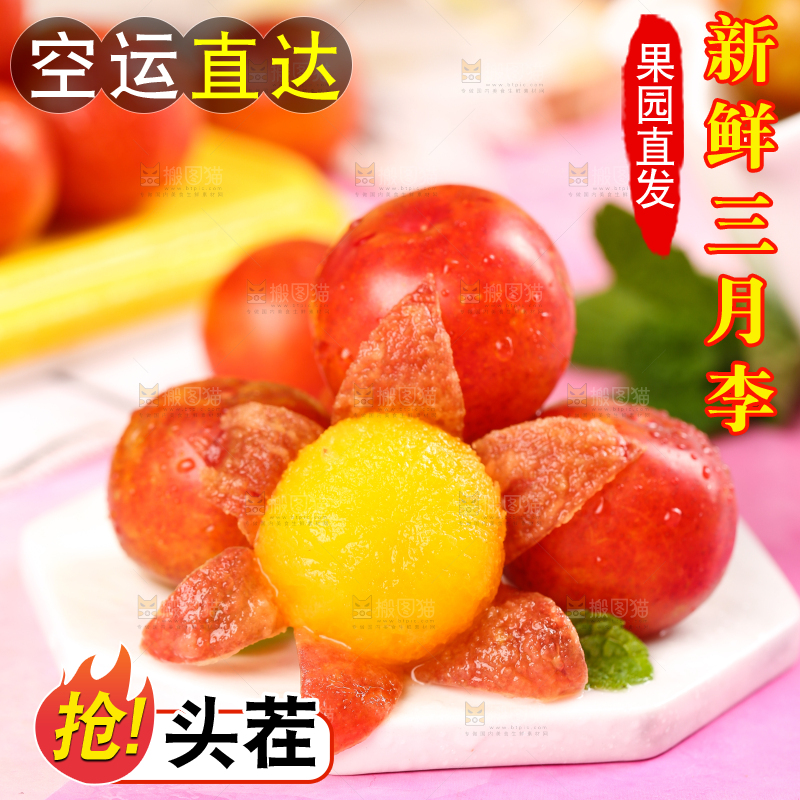 白石板上摆放着钱排三月李