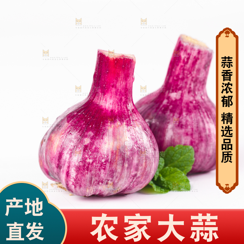白底上放着紫皮大蒜