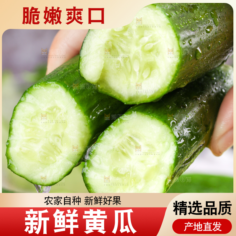 手里拿着山东水果黄瓜