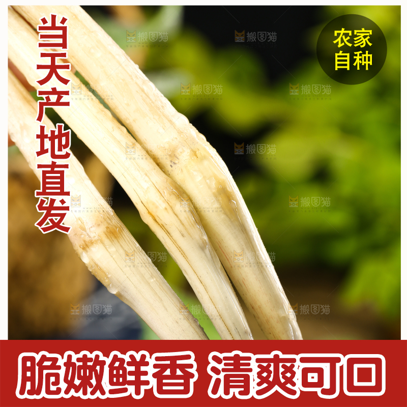 手里拿着新鲜藕带