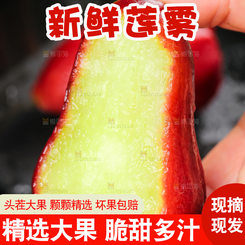 手拿切开的莲雾