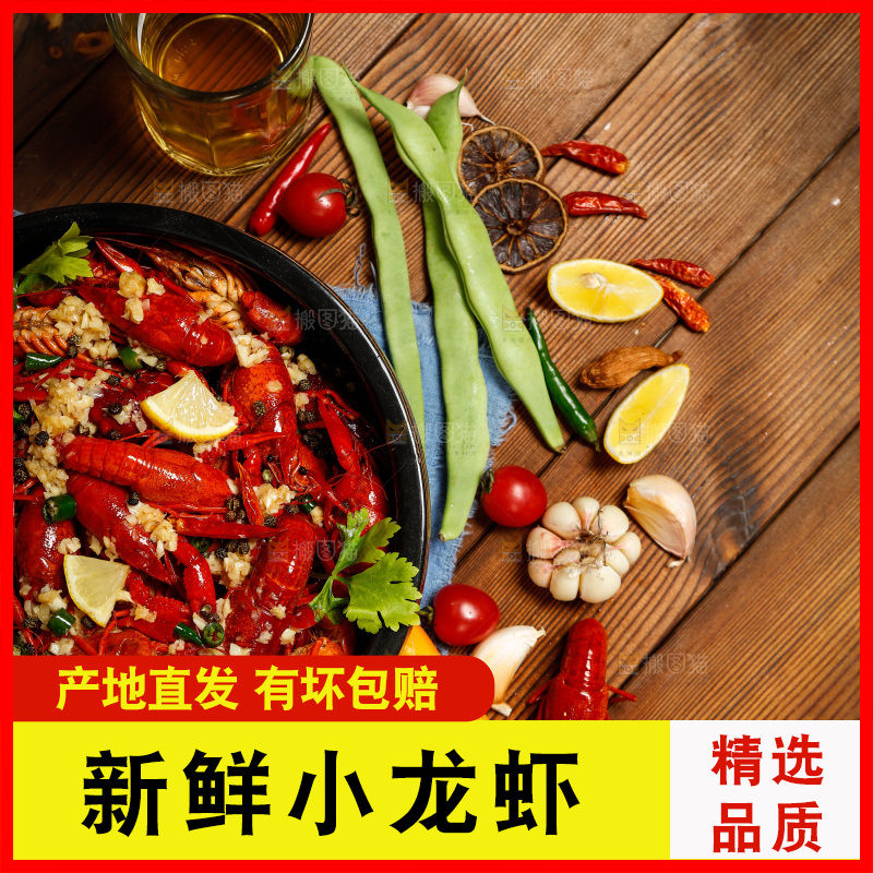 龙虾背景纹理