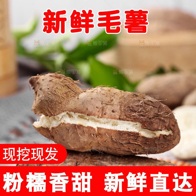 木底上放着蒸熟的毛薯