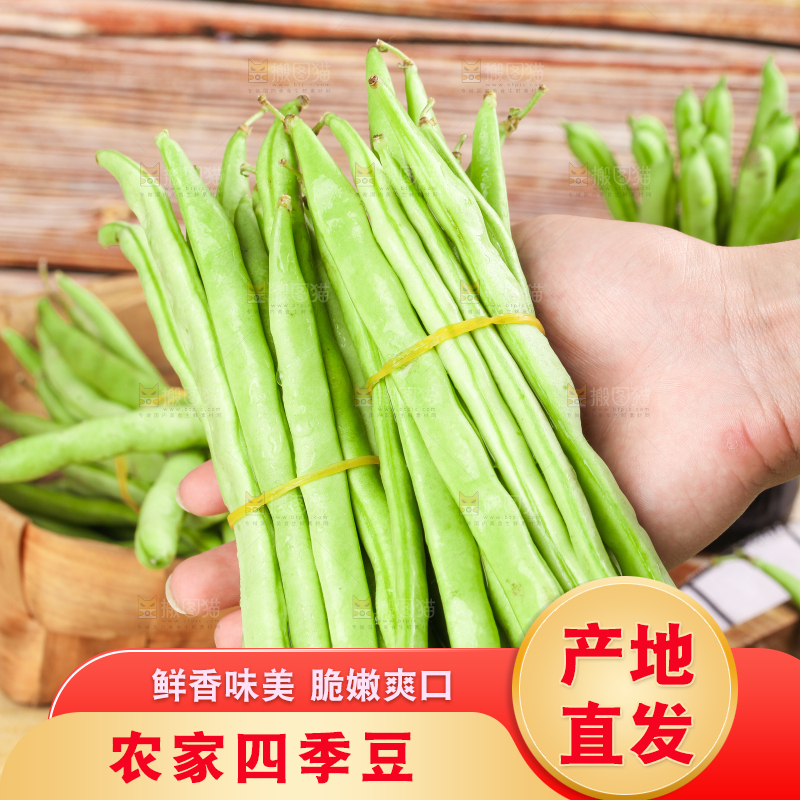 手里拿着云南新鲜四季豆