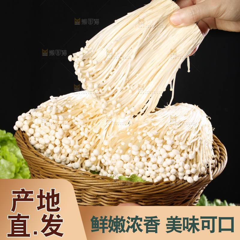 手拿金针菇