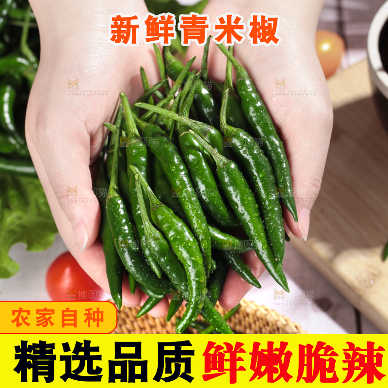 手拿新鲜青米椒