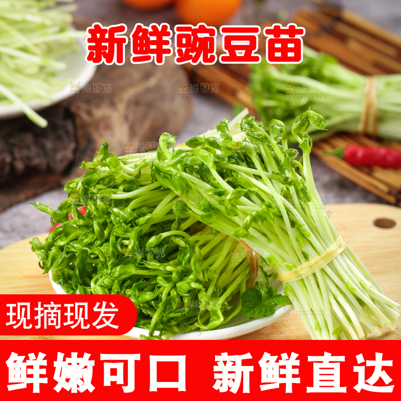 木板上放着豌豆芽