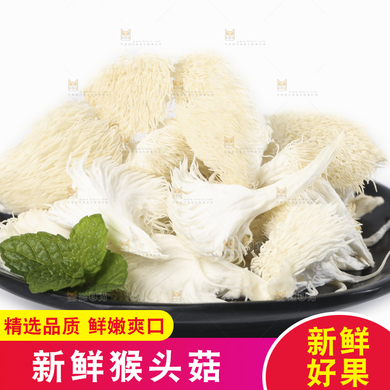 白底上放着东北山猴头菇