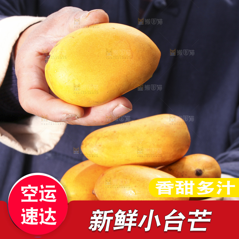 手拿一盘小台芒