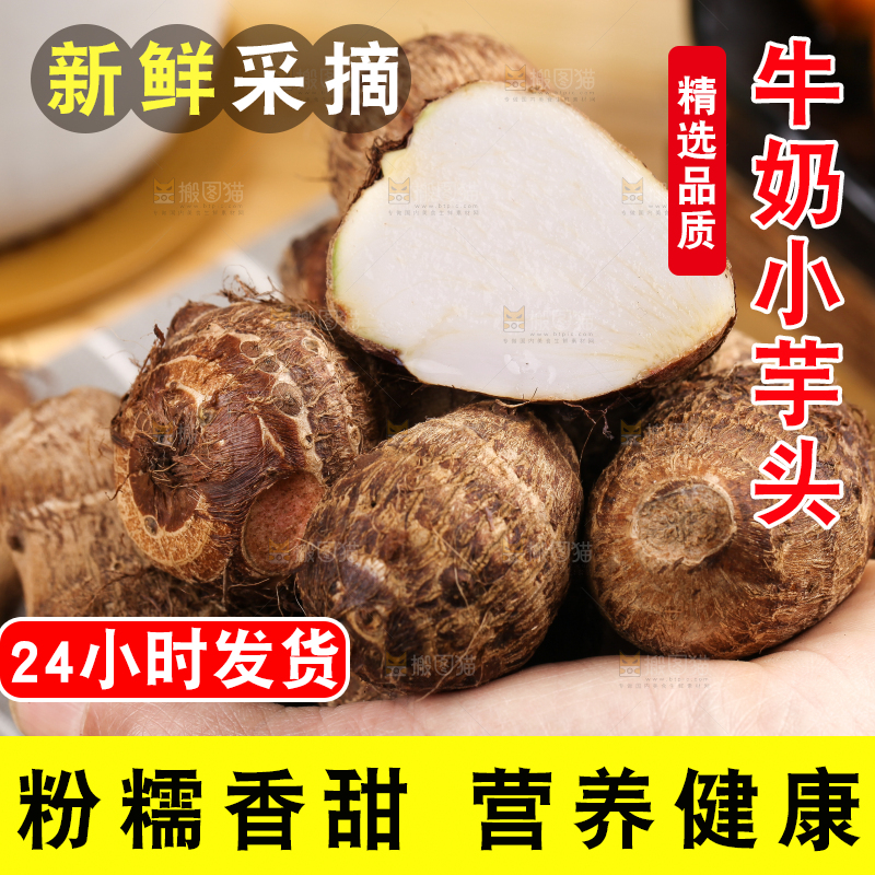 手里拿着新鲜小芋头