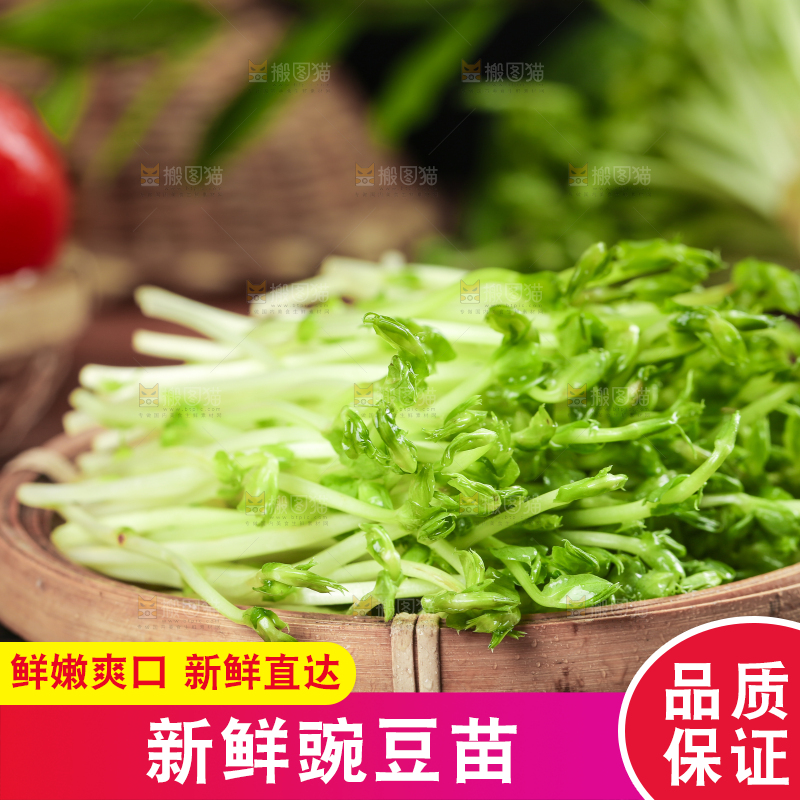 篮子里装着豆苗菜