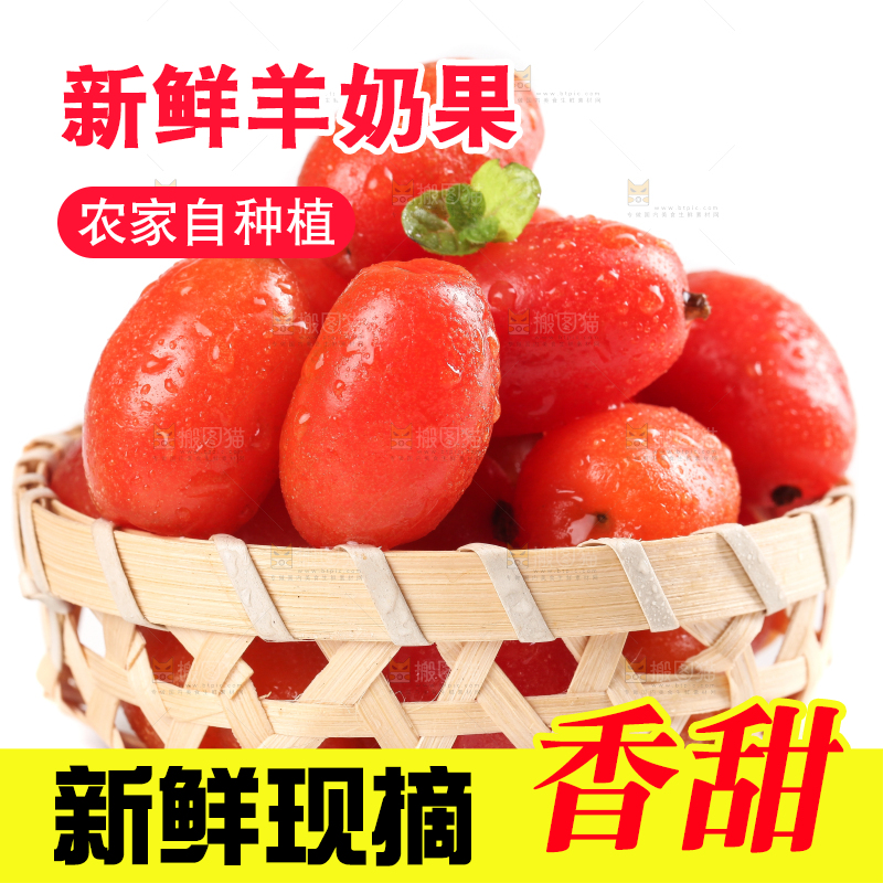 一筐临沧甜羊奶果放在白底上