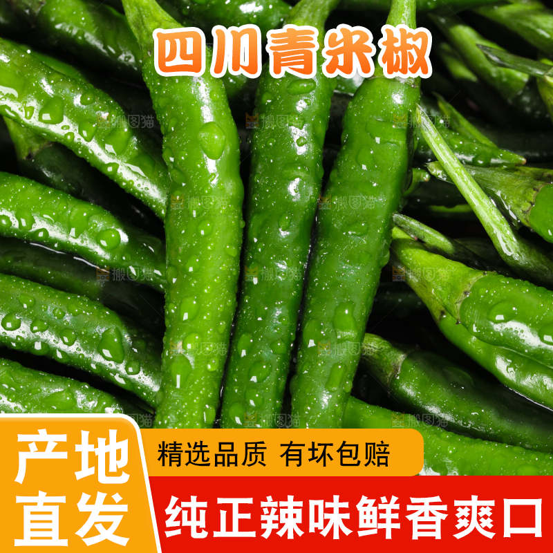浅底上的朝天辣椒