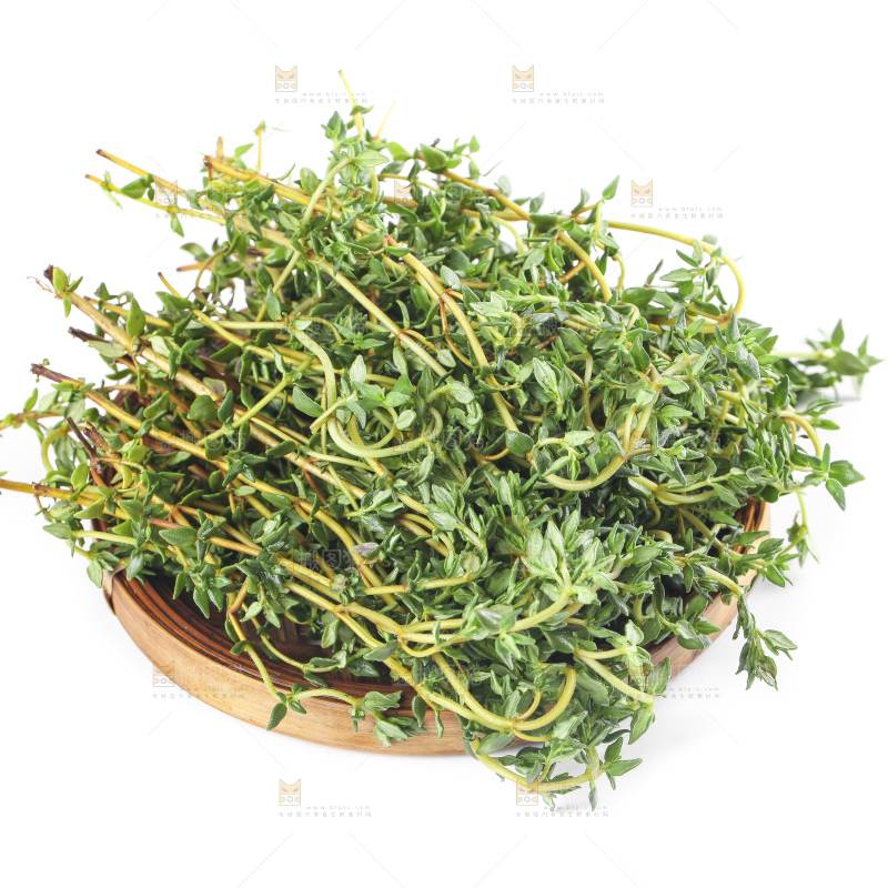 一盘麝香草放在白底上