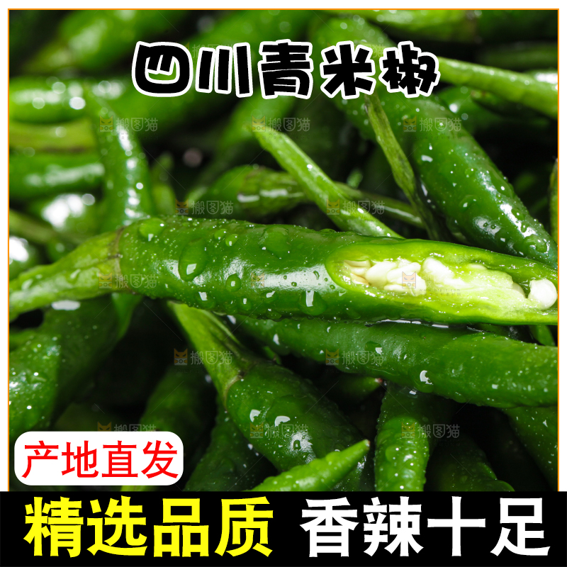 浅底上的青米椒