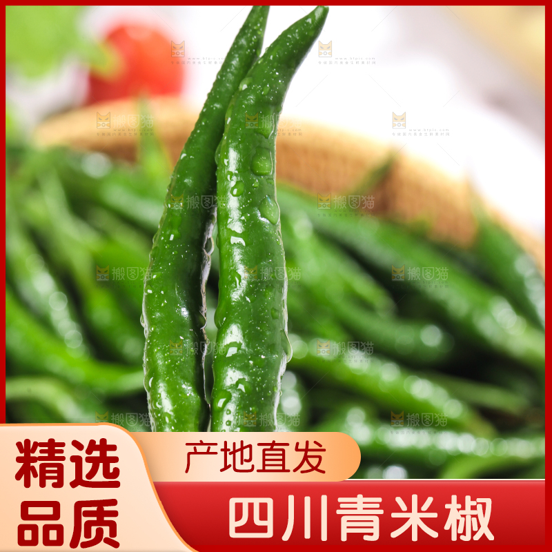 手拿新鲜青米椒