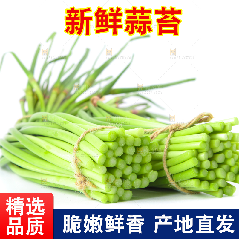 白底上的河南蒜苔