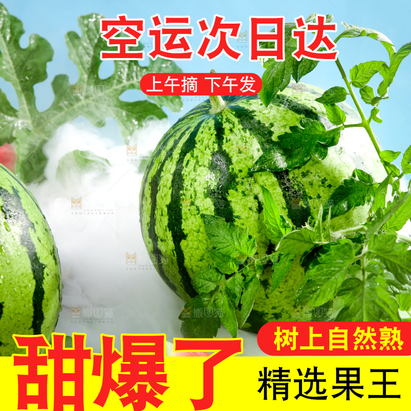 浅底上的放着切开的新鲜红肉西瓜
