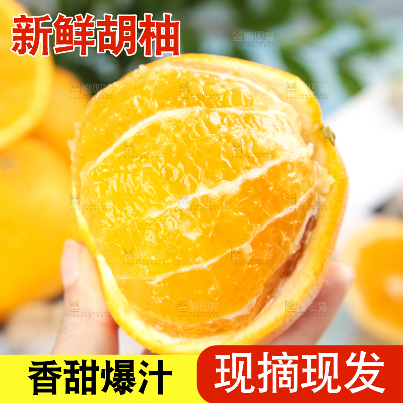 手里拿着新鲜胡柚