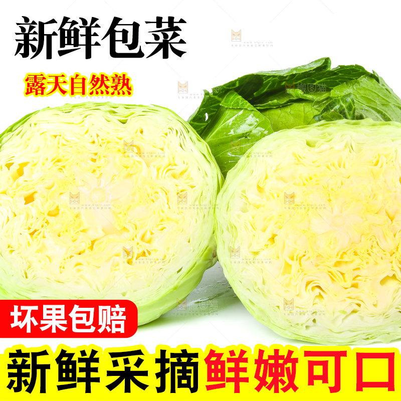 切开的包菜放在白底上