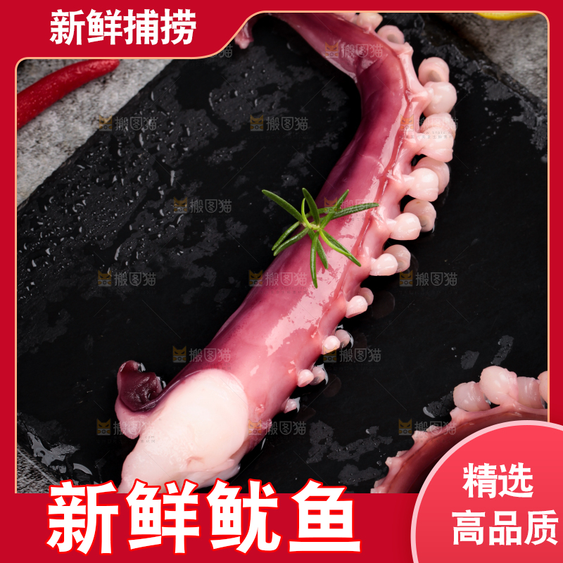 黑石板上的大鱿鱼