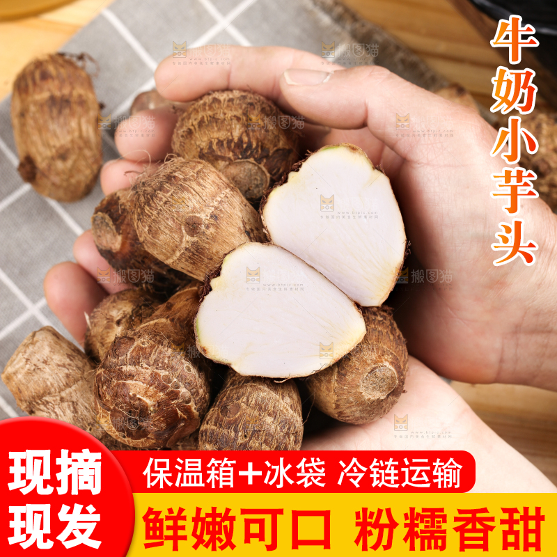 手里拿着新鲜小芋头