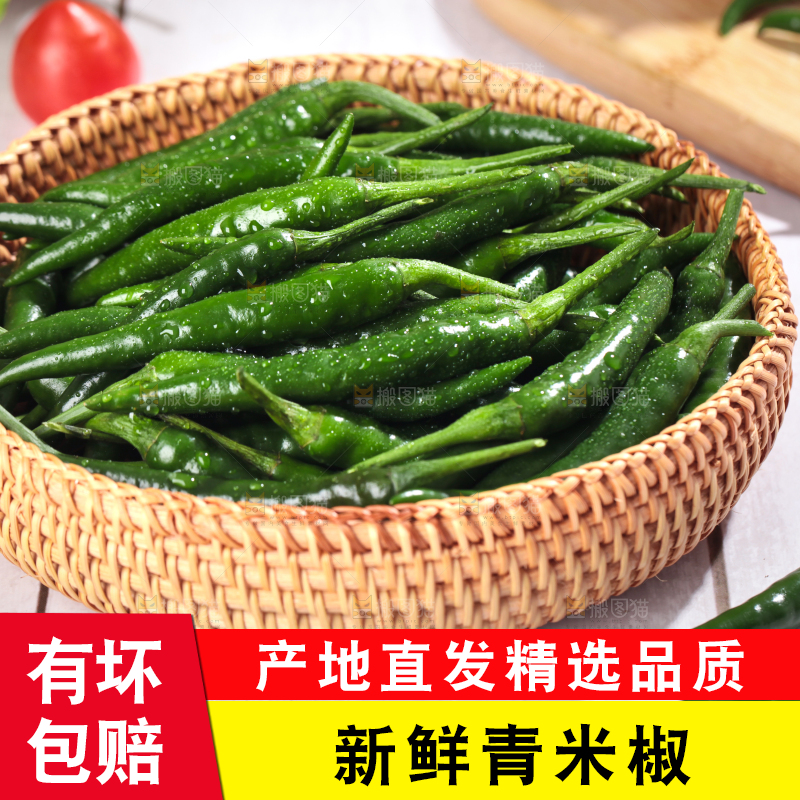 木底上放着一筐青米椒