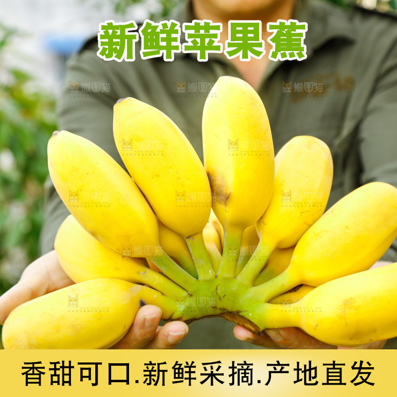 手拿一把新鲜的苹果蕉