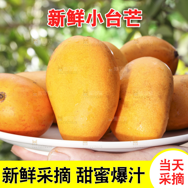 手拿一盘小台芒