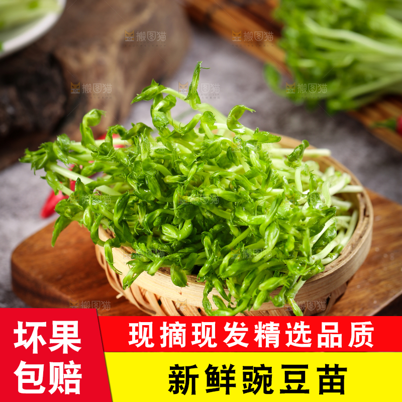篮子里的豌豆芽苗菜